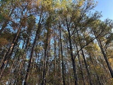 00 Lafayette Springs Rd, Thaxton, MS 38871 - photo 6