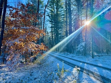 821 Hidden Acres, East Jordan, MI 49727 - photo 5