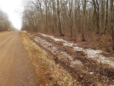 XXX 15th Ave, Rice Lake, WI 54868 - photo 4