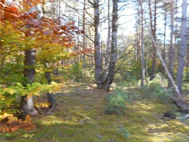 Lot / Land