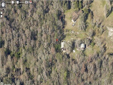 6305 Eureka Springs Rd, Tampa, FL 33610 - photo 6