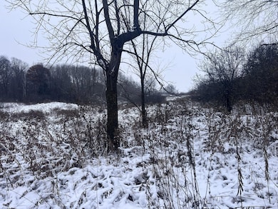 tbd County Line Ave, Black Brook Township, WI 54005 - photo 2