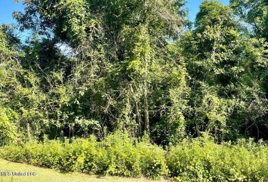 4.71 Ac September Ln, Lucedale, MS 39452 - photo 3