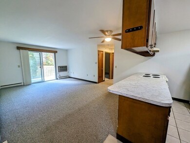 117 Stafford St unit 63, Charlton, MA 01507 - photo 3