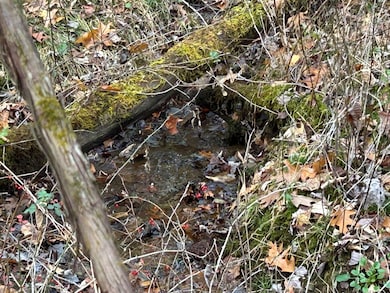 0 Miola Rd, Clarion, PA 16214 - photo 5