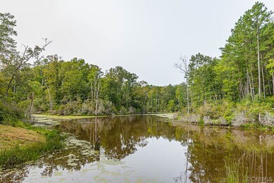 405 Youngling Place, Dunnsville, VA 22454 - photo 4