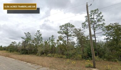 0 Timberlake Dr unit 25712620, Chipley, FL 32428 - photo 3