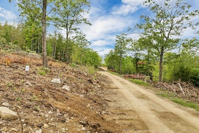 0 Long Stack Ln, Wolfeboro, NH 03894 - photo 5