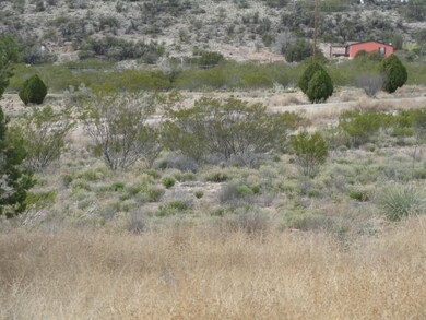 DSC04647