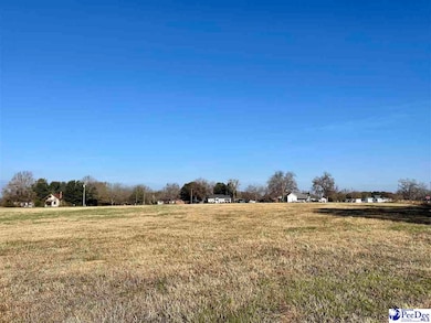 Hwy 9 Angelus Rd, Chesterfield, SC 29709 - photo 7