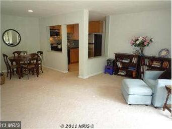 51 Skyhill Rd unit 204, Alexandria, VA 22314 - photo 6