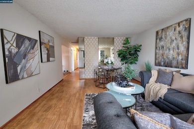 1428 Saint Frances Dr, Antioch, CA 94509 - photo 6