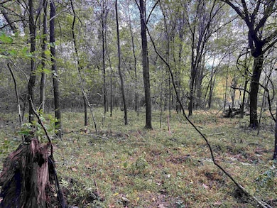 0 Bethuel Rd unit 17, Unincorporated, TN 38053 - photo 5