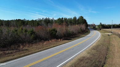 0 Duke Valentine Wynne Rd unit 10133928, Louisburg, NC 27549 - photo 2