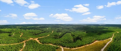 0 Fox Ln, Savannah, TN 38372 - photo 6