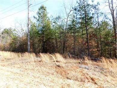Lot 8 Furnace Rd, Lincolnton, NC 28092 - photo 4