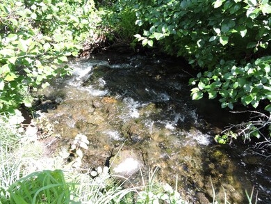 DSCN2748