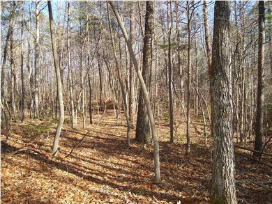 9 0 Clear Brooks Rd #5