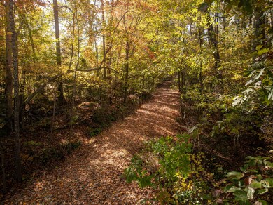 Dice Miller Rd, Moore, SC 29369 - photo 4