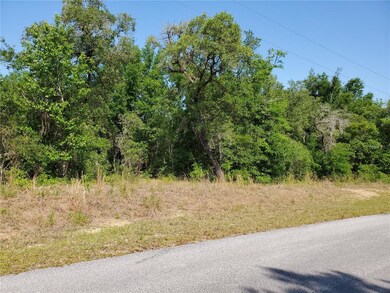 LOTS 13 & 14 SW Valencia Heights Ave, Dunnellon, FL 34431 - photo 2