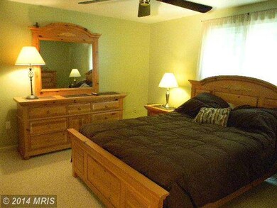 7315 Silent Bird Ct, Columbia, MD 21046 - photo 6