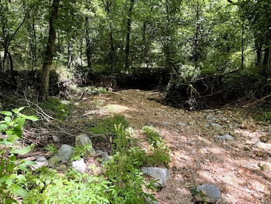 000 Wilderness Way, Anderson West Township, MO 64831 - photo 3