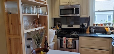 11 Linden St unit 3, Boston, MA 02127 - photo 4