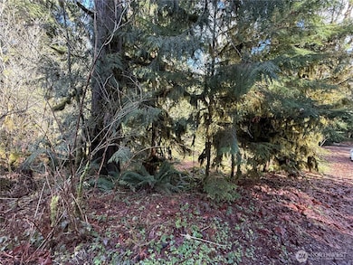 0 High Ridge Dr unit NWM2348116, Marblemount, WA 98267 - photo 7