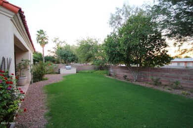 Backyard 1