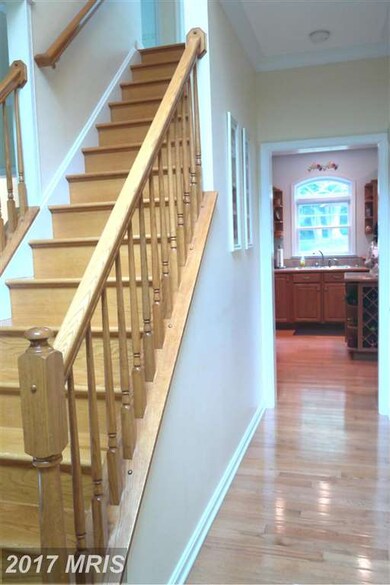 531 Buckhorn Rd, Sykesville, MD 21784 - photo 6