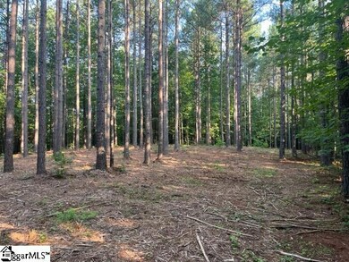 0 Manus Chapel Rd unit 1504435, Mill Spring, NC 28756 - photo 2