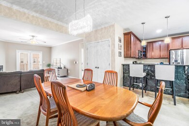 24636 Woolly Mammoth Terrace unit E-203, Aldie, VA 20105 - photo 6