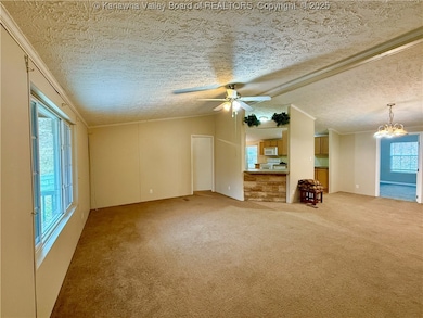 630 Trace Creek Rd, Hamlin, WV 25523 - photo 3