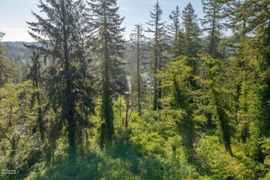 07-DJI_0693