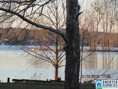 The main channel of Coosa River is just a few hund