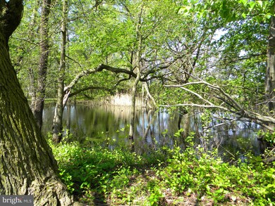 139 W Tomlin Station Rd, Mickleton, NJ 08056 - photo 3