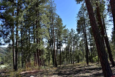 733 Red Canyon Trail, Durango, CO 81301 - photo 7