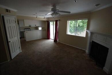 Downstairs Living Room & Kitchen
