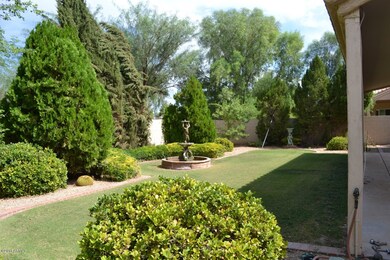 Backyard 1
