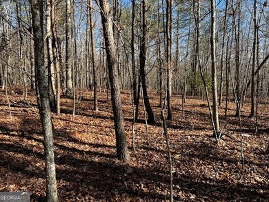 1200 Roy Powers Rd, Cleveland, GA 30528 - photo 7