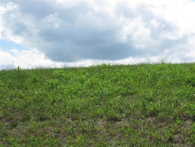 0 Naron Rd, Shelbyville, TN 37160 - photo 3