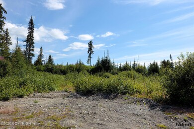 C13 Alaskan Wildwood Ranch(r), Nikolaevsk, AK 99556 - photo 2