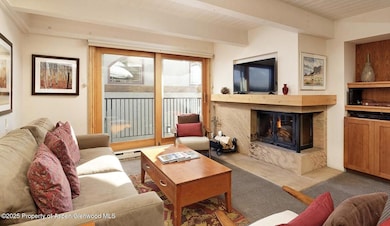 901 E Hyman Ave unit 13, Aspen, CO 81611 - photo 2