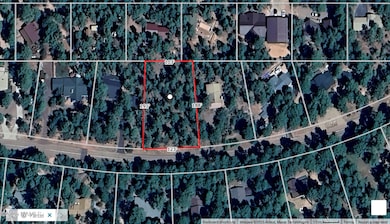 110 Bradshaw Dr, Pine, AZ 85544 - photo 2