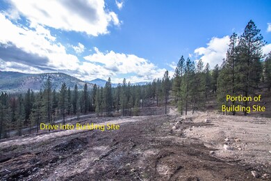 2600 Blk Pine Top Way Chewelah-7