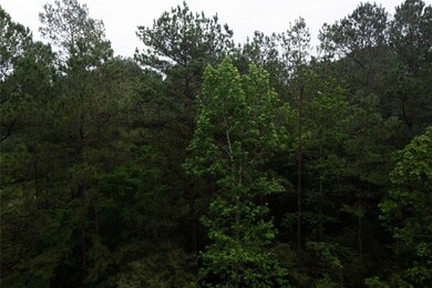 9203 Deer Lodge Rd, Magnolia, TX 77354 - photo 6