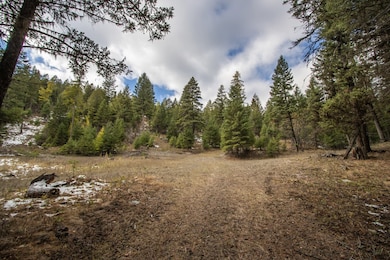 Nhn Copper Rd, Kalispell, MT 59901 - photo 7