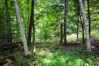 0 Anthony Rd, Fort Edward, NY 12828 - photo 4