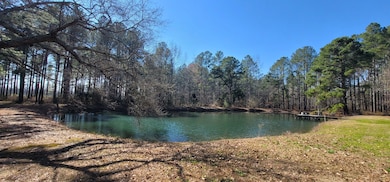 1071 Cox Rd, Dawson, GA 39842 - photo 5