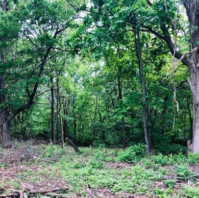 167 Red Bud Trail, West Fork, AR 72774 - photo 4